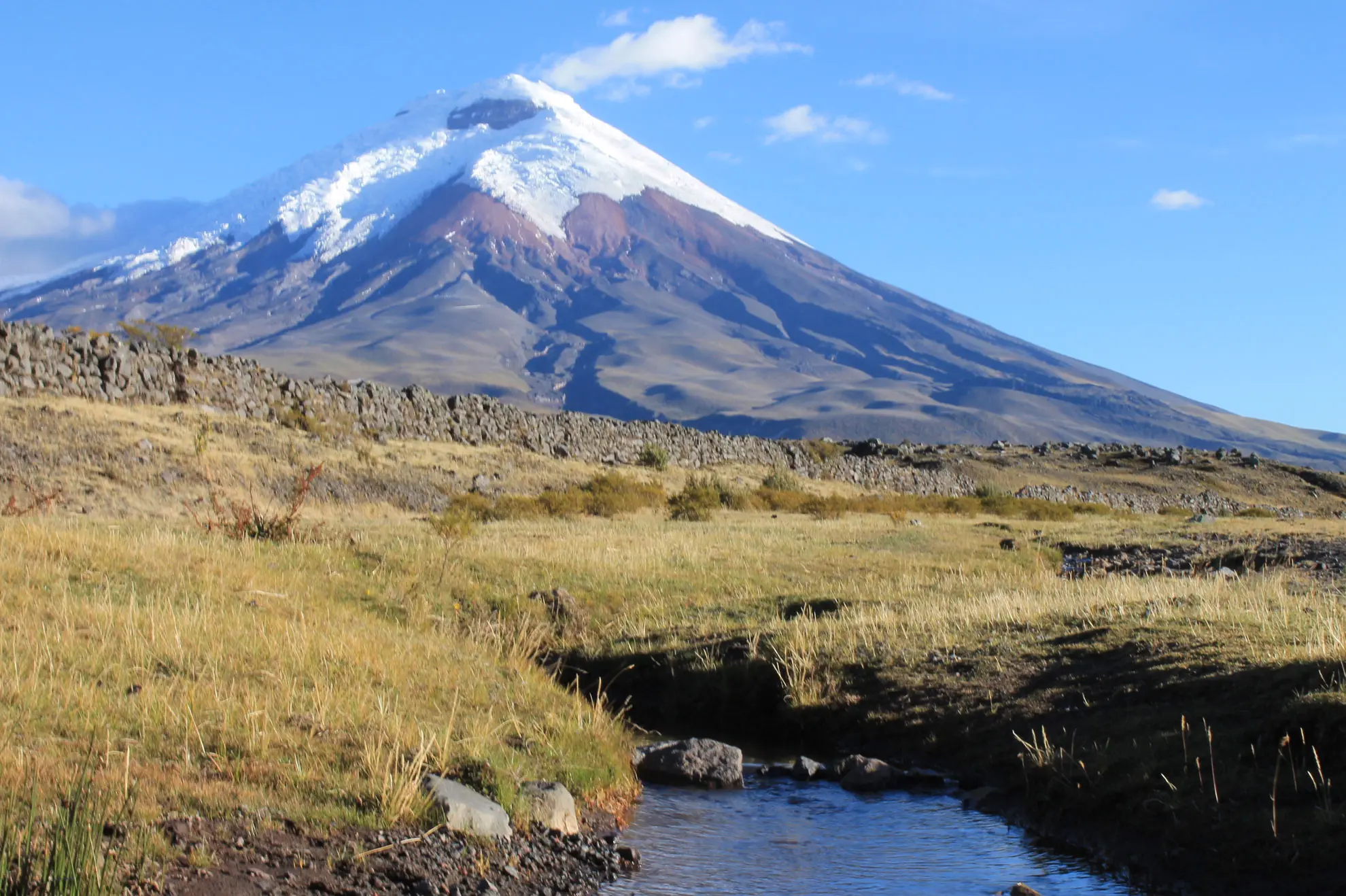 Cotopaxi Vulkan in den ecuadorianischen Anden