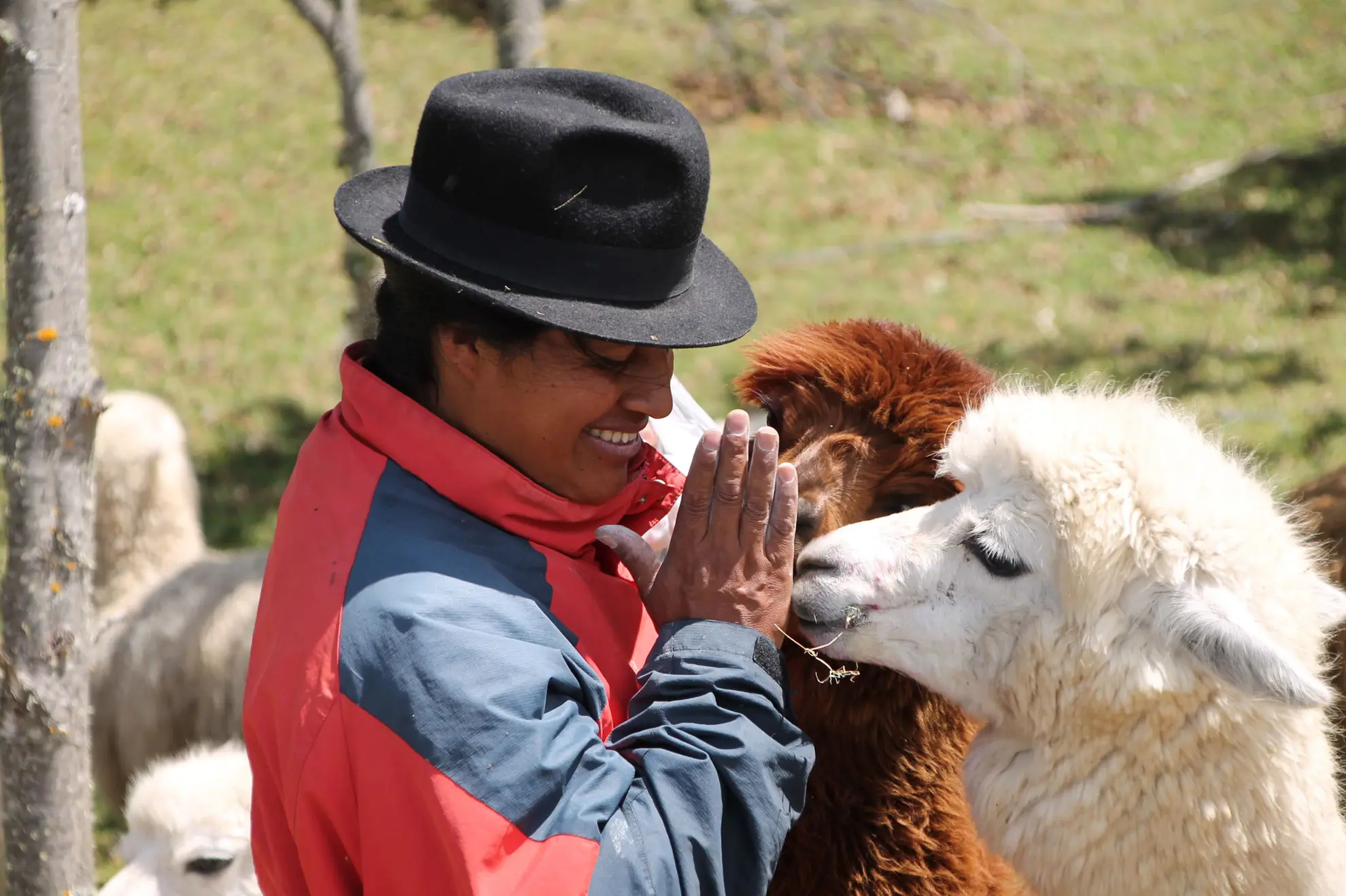 Indigene Kulturen und Märkte in Ecuador