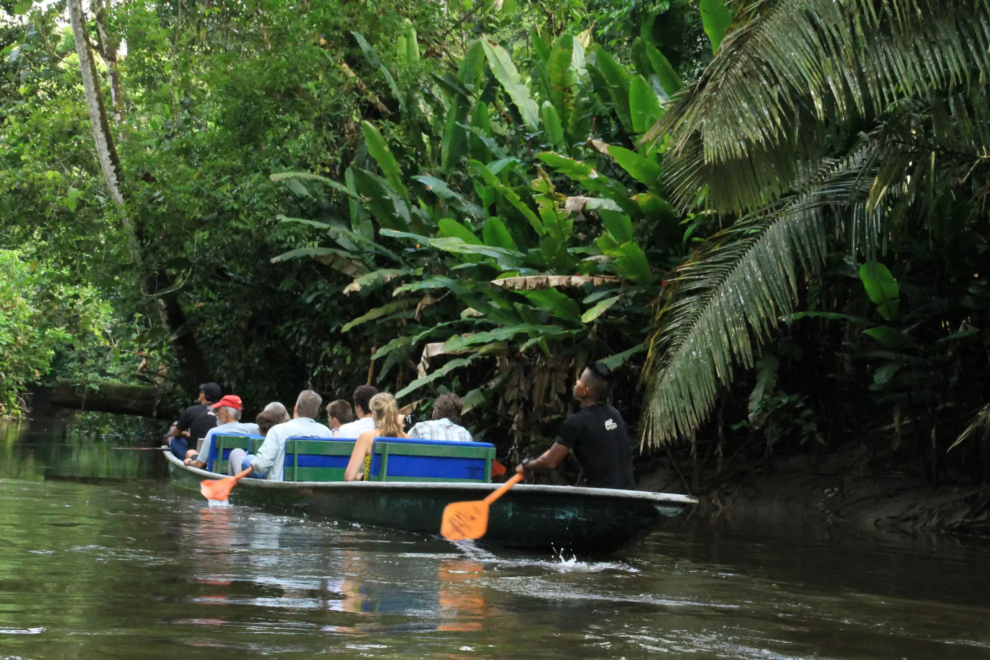 Amazonas Regenwald Ecuador